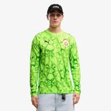Puma Galatasaray 26/27 Gk Erkek Yeşil Kaleci Forması