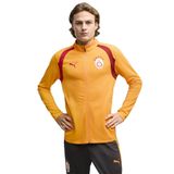 Puma Galatasaray 26/27 Sarı Antrenman Ceket, S, TYCDCB5A4A8CF70A0E57ABE04, Summer Sunset-Dark Cherry, erkek