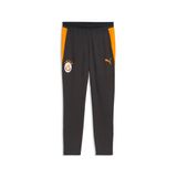 Puma Galatasaray 26/27 Siyah Antrenman Eşofman Altı, L, 786814, Flat Dark Gray-Summer Sunset, Erkek