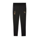 Puma Galatasaray Erkek Antrenman Eşofman Altı 782894 10 Siyah