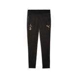 PUMA GALATASARAY Erkek Antrenman Eşofman Altı, PUMA Black, XXL
