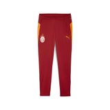 PUMA GALATASARAY Erkek Antrenman Eşofman Altı, Red Rhythm, M