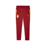 PUMA GALATASARAY Erkek Antrenman Eşofman Altı, Red Rhythm, S
