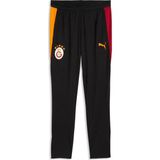Puma Galatasaray Erkek Antrenman Eşofman Altı - XL