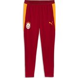 Puma Galatasaray Erkek Antrenman Eşofman Altı - XS