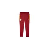 Puma GALATASARAY Erkek Antrenman Eşofman Altı