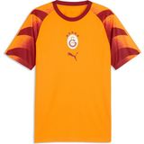 Puma Galatasaray Erkek Antrenman Forması - 2XL