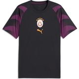 Puma Galatasaray Erkek Antrenman Forması - XL
