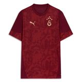 PUMA GALATASARAY Erkek Kısa Kollu Antrenman Forması, Team Regal Red, XL