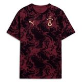 PUMA GALATASARAY Erkek Maç Öncesi Antrenman Tişört, Team Regal Red, S