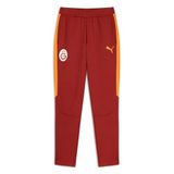 PUMA GALATASARAY EVOSTRIPE Erkek Eşofman Altı, Red Rhythm, L