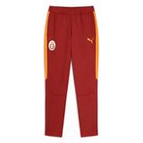 PUMA GALATASARAY EVOSTRIPE Erkek Eşofman Altı, Red Rhythm, S