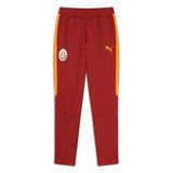 PUMA GALATASARAY EVOSTRIPE Erkek Eşofman Altı, Red Rhythm, XS