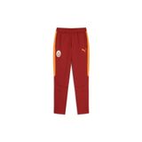 Puma GALATASARAY EVOSTRIPE Erkek Eşofman Altı