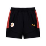 PUMA GALATASARAY EVOSTRIPE Erkek Şort, PUMA Black, 3XL
