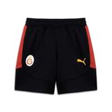 PUMA GALATASARAY EVOSTRIPE Erkek Şort, PUMA Black, XXL