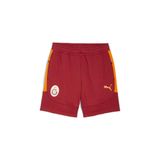 Puma GALATASARAY EVOSTRIPE Erkek Şort