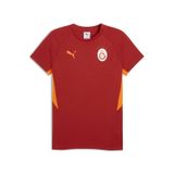 Puma Galatasaray Evostrıpe Erkek Tişört 782906 01 KIrmızı