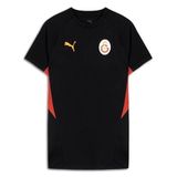 PUMA GALATASARAY EVOSTRIPE Erkek Tişört, PUMA Black, XXL