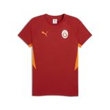 PUMA GALATASARAY EVOSTRIPE Erkek Tişört, Red Rhythm, 3XL