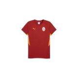 Puma GALATASARAY EVOSTRIPE Erkek Tişört