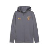Puma Galatasaray Evostripe Kapüşonlu Ceket, XL, 78682113, Gri, Erkek