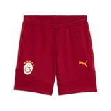 Puma GALATASARAY EVOSTRIPE Şort, XL, 786823, Dark Cherry-Summer Sunset, Erkek