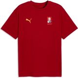 Puma Galatasaray Ftblculture Erkek Geniş Kesim Tişört - XL