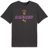 Puma Galatasaray Ftblculture Erkek Tişört - 2XL