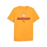 Puma GALATASARAY FtblCulture Erkek Tişört, M, 786840, Summer Sunset-Dark Cherry