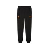 PUMA GALATASARAY FtblESSENTIALS Erkek Eşofman Altı, PUMA Black, 3XL