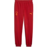 Puma Galatasaray Ftblessentıals Erkek Eşofman Altı - XS