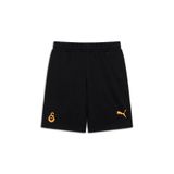 Puma GALATASARAY FtblESSENTIALS Erkek Şort