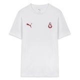 PUMA GALATASARAY FtblESSENTIALS Erkek Tişört, PUMA White, 3XL
