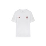 Puma GALATASARAY FtblESSENTIALS Erkek Tişört