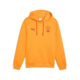 Puma GALATASARAY FtblESSENTIALS Kapüşonlu SWEATSHIRT, L, 782908, Dark Cherry-Summer Sunset, erkek