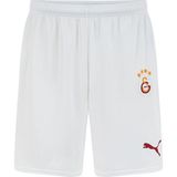 Puma Galatasaray Gsk Home Shorts Wo S 24/25 Erkek Şort - Beyaz