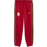 Puma Galatasaray Kıng Anthem Erkek Eşofman Altı - XL