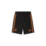 Puma GALATASARAY KING Erkek Şort