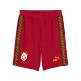 Puma GALATASARAY KING Şort, 2XL, 786856, Dark Cherry-Summer Sunset, Erkek