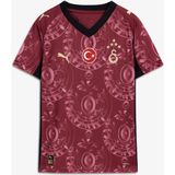 Puma Galatasaray S.k. 25-26 Çocuk Kırmızı Futbol Forması.03 - 9 - 10 Yaş