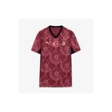 Puma Galatasaray S.K. 25-26 Erkek Kırmızı Alternatif Futbol Forması