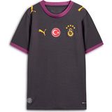 Puma Galatasaray S.k. 26/27 Çocuk Forma - 164 cm - Gri