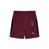 Puma Galatasaray S.k. Shorts 25/26 İç Saha Parçalı Şort Erkek Futbol Şortu BORDO