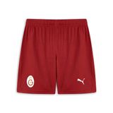 Puma Galatasaray Voleybol Şortu, 2XL, 783368, Red Rhythm, Erkek