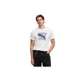 Puma Graphic Tişört, XXL, 57-691775-2, Beyaz, Erkek