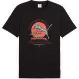 Puma Graphıcs Puma Bonsai Tee Erkek Tişört - Siyah