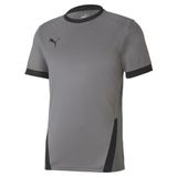 Puma Gri Teamgoal 23 Jersey Erkek Futbol Forması