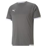 Puma Gri Teamliga Jersey Erkek Futbol Forması