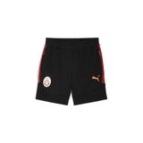 Puma Gsk Evostrıpe Shorts Erkek Yetişkin Şort